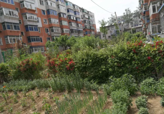 沈阳市苏家屯区牡丹街89号7楼