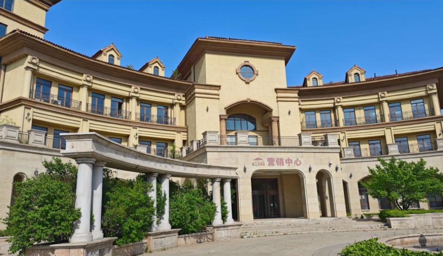 某联控股集团有限公司